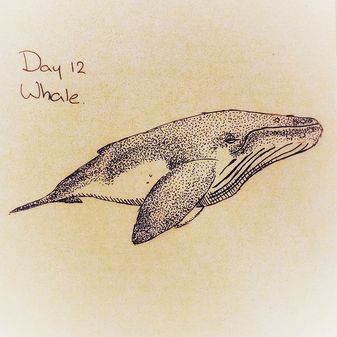 Day 12: Whale